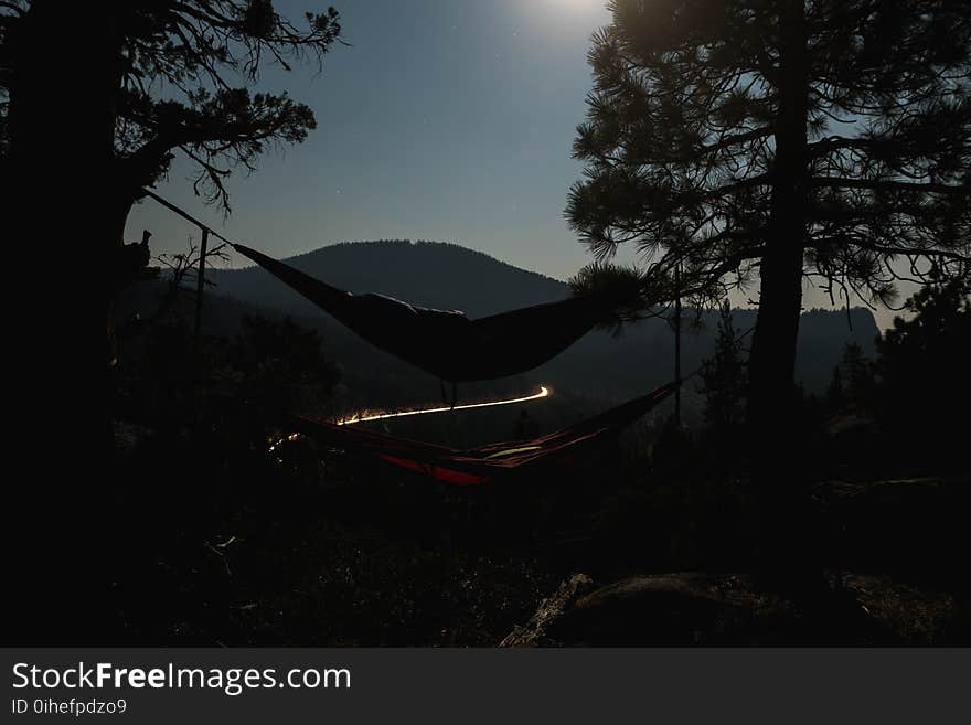 Hammocks