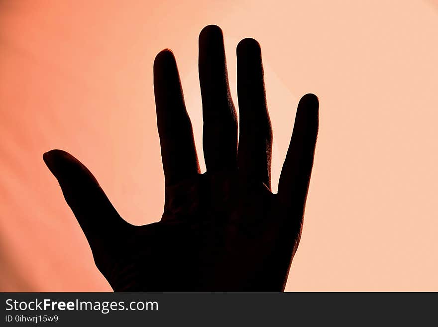 Silhouette of Left Human Hand