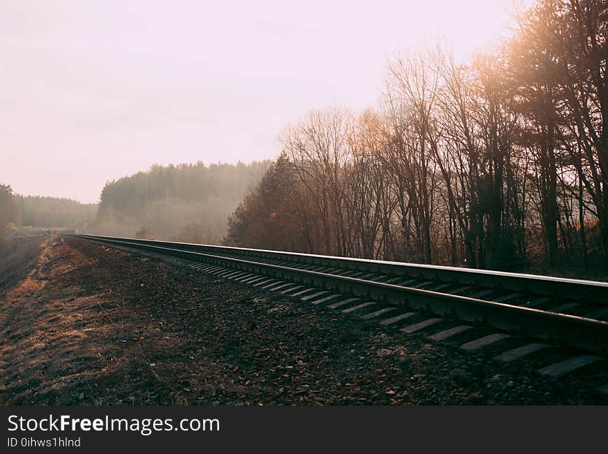 Train Rails Photography