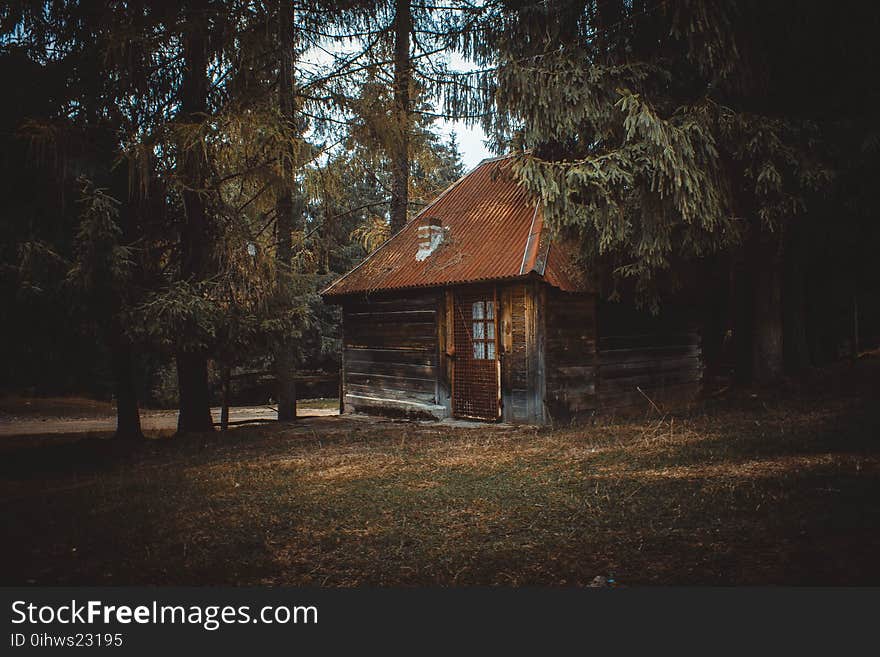 Wooden House on a Forest