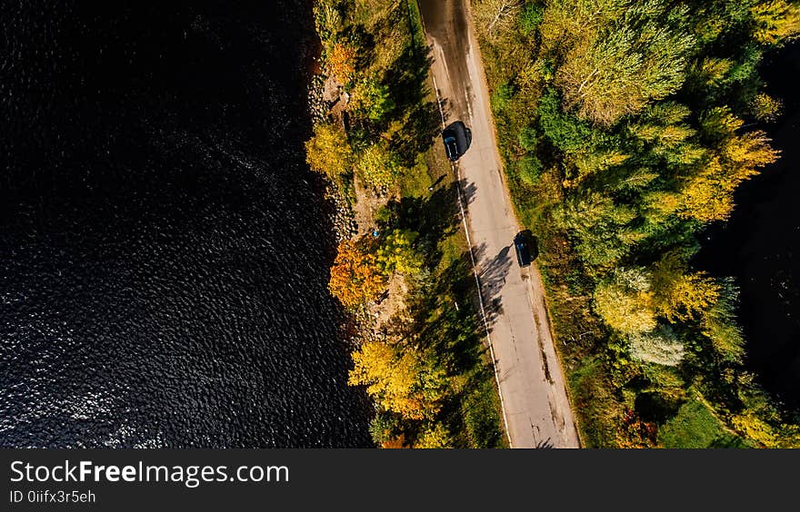 Aerial Photography of Road Between Trees on Body of Water