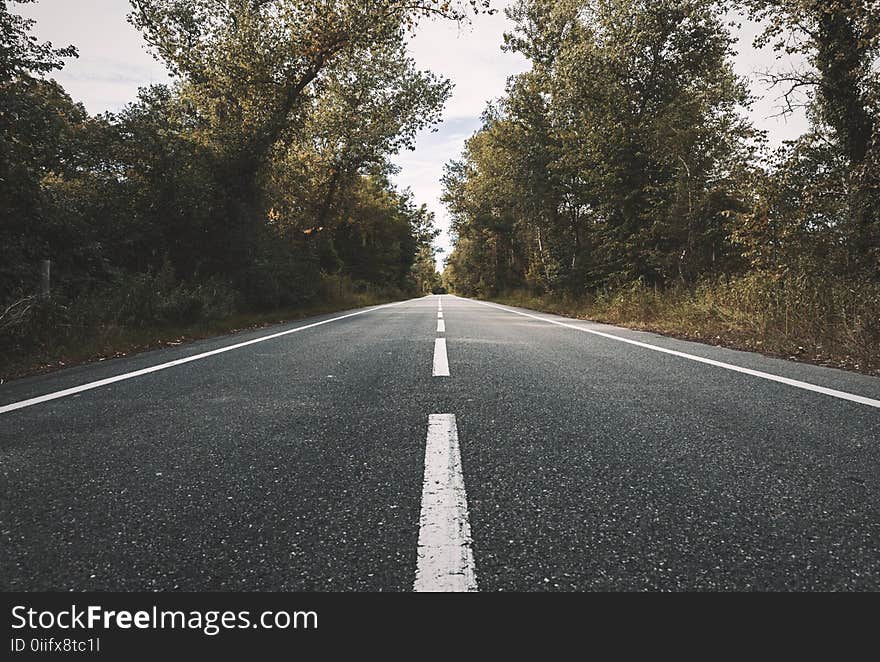 Landscape Photography of Concrete Road