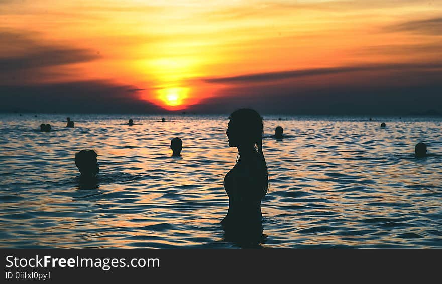 Silhouette Photography of People Swimming on the Beach during Golden Hour