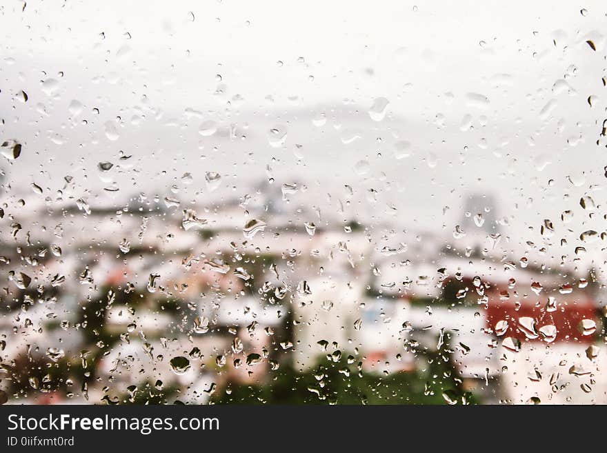 Rain Drops on Window