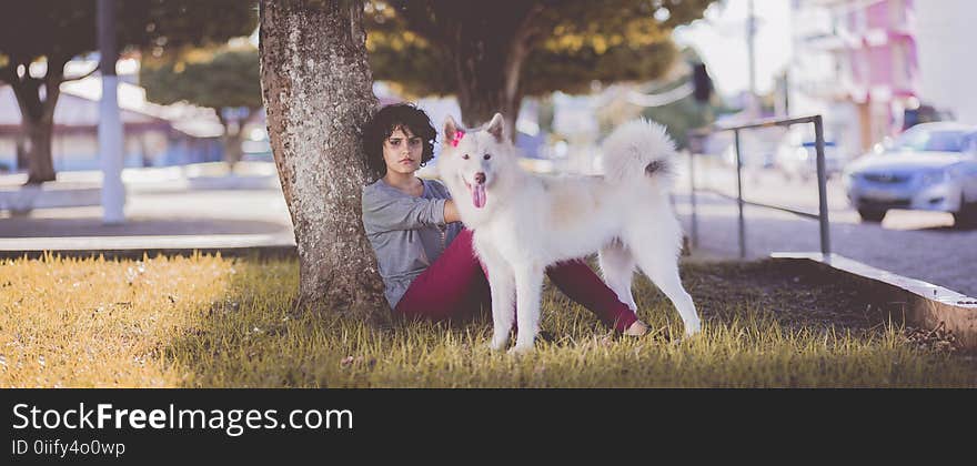 Woman in Gray Long Sleeve Top and Red Pants Sitting Beside Tree and White Medium Coated Dog