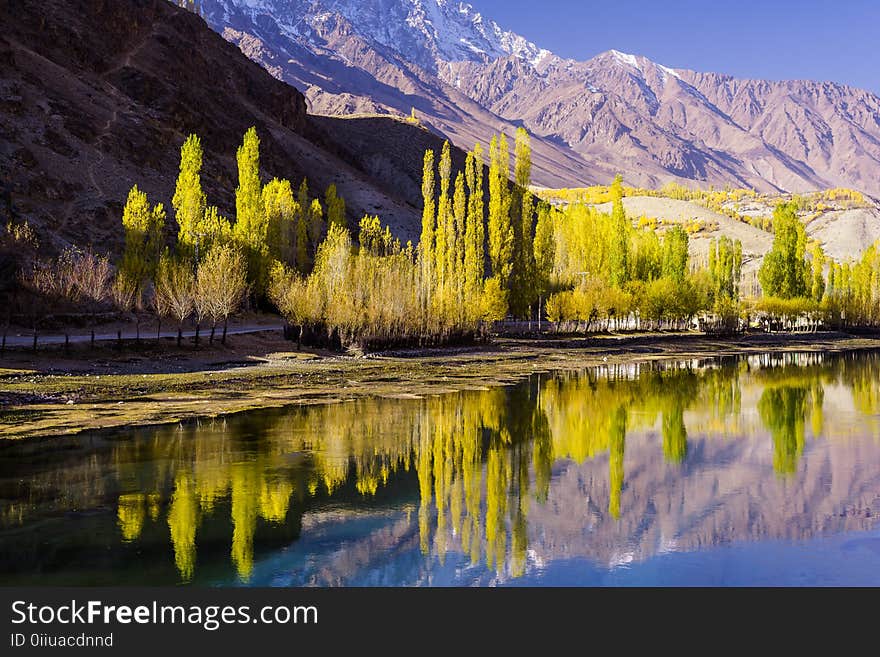 Panoramic Photography of Green Trees Near Mountain Range