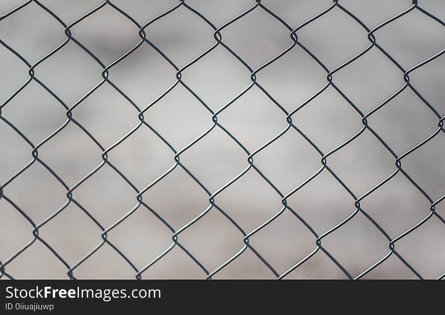 Chain Linked Fence