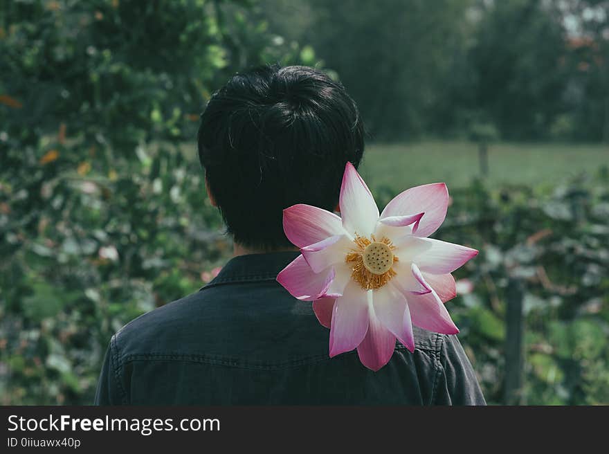 Pink Flowers on the Shoulder of Person