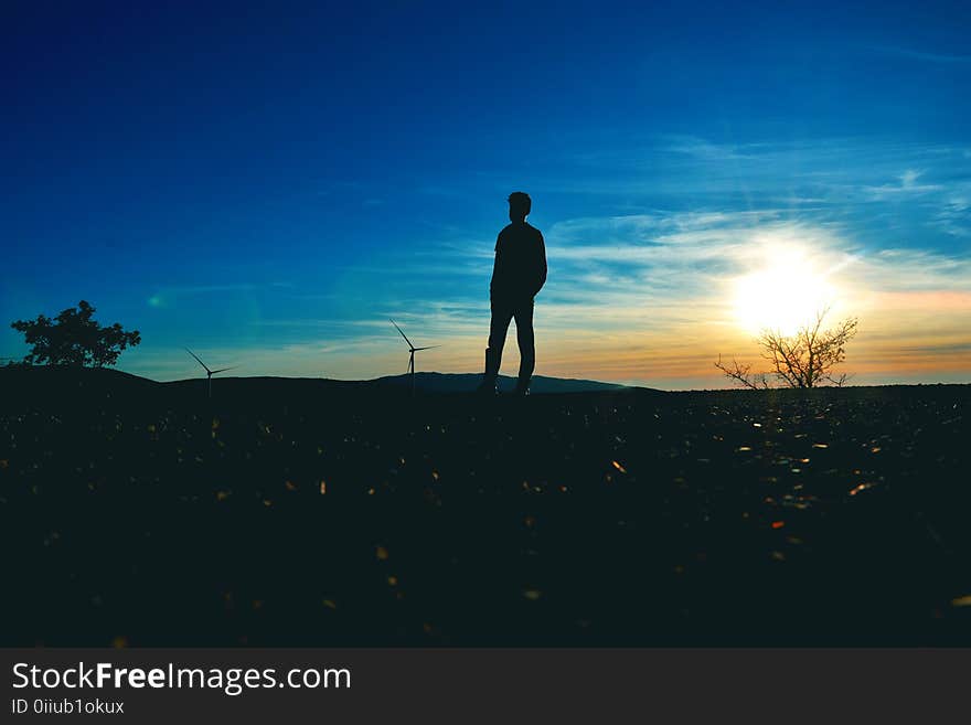 Silhouette of Man Near Tree Photo