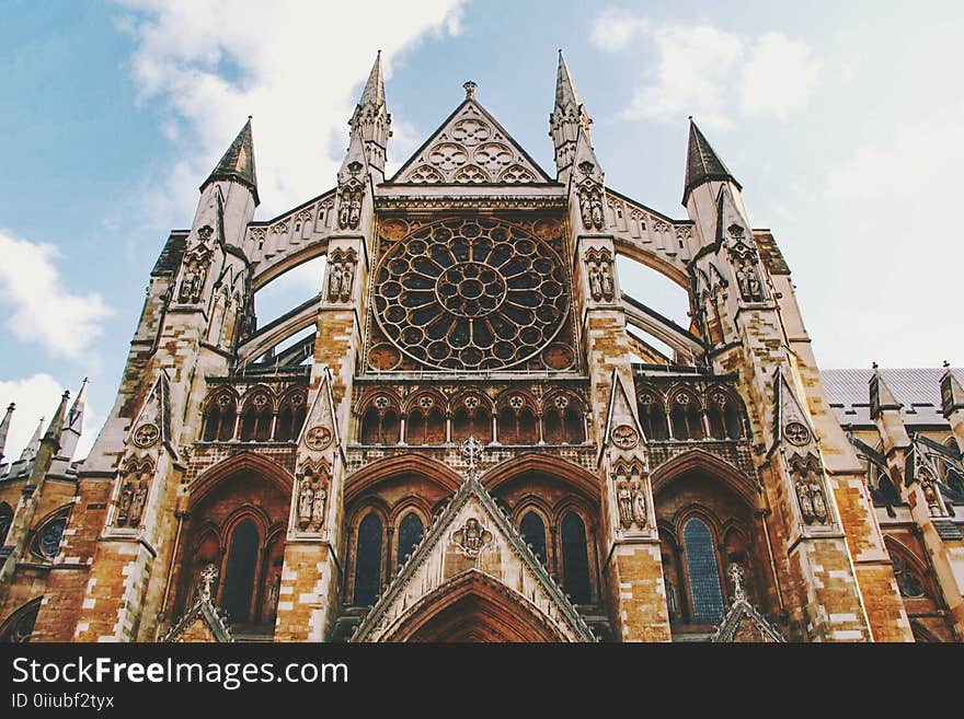 Low Angle Photography of Beige and Brown Cathedral