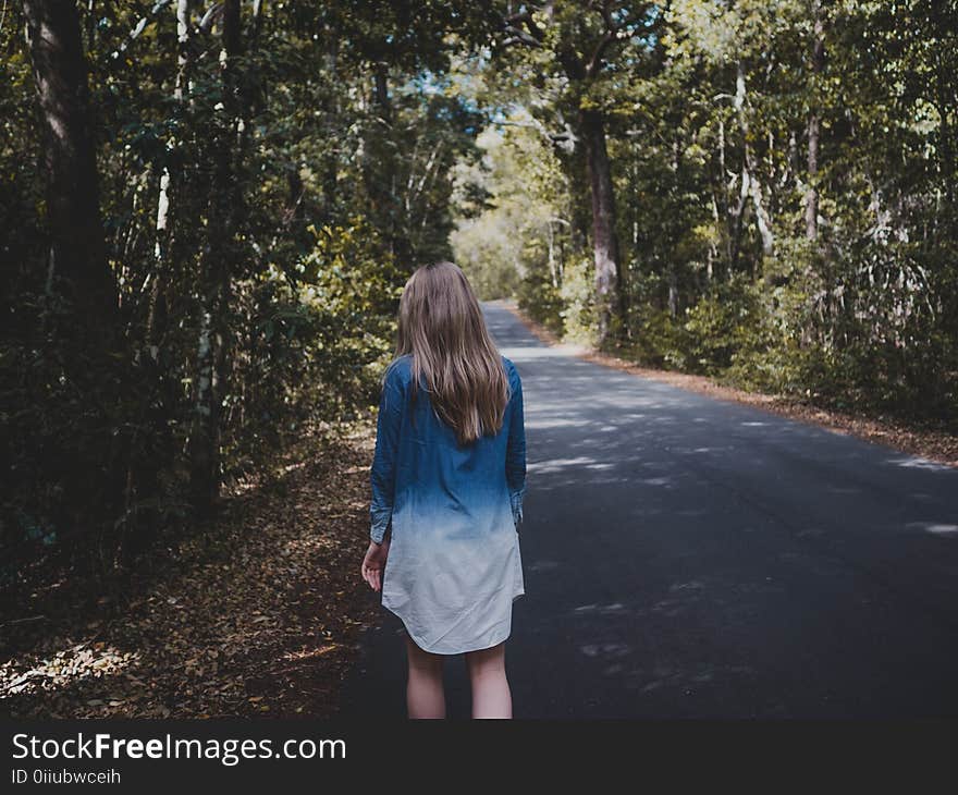 Woman Wearing Blue and White Long-sleeved Shirt Walking Near Tree