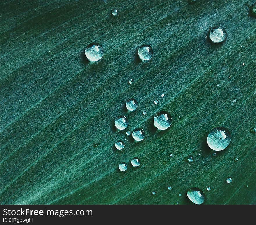 Macro Shot of Water Drop on Green Textile