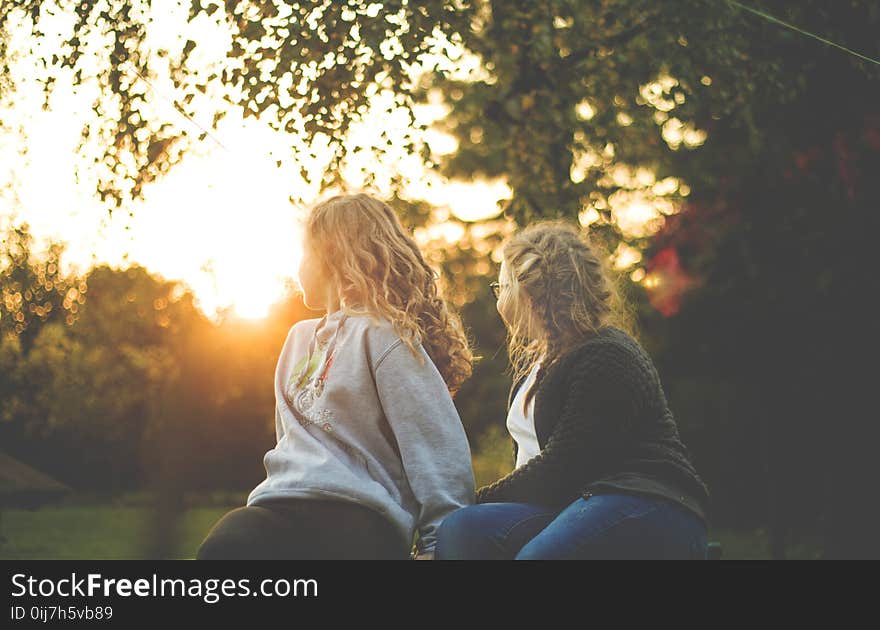 Two Women Sitting Near Green Tree during Sunset