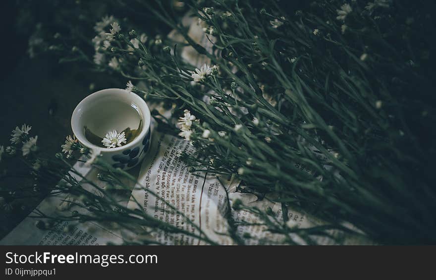 Ceramic Teacup Near White Flowers With Plant