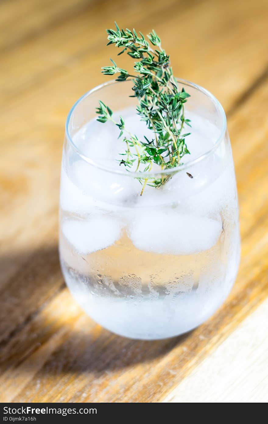 Green Leafed Plant on Drinking Glass With Ice and Water