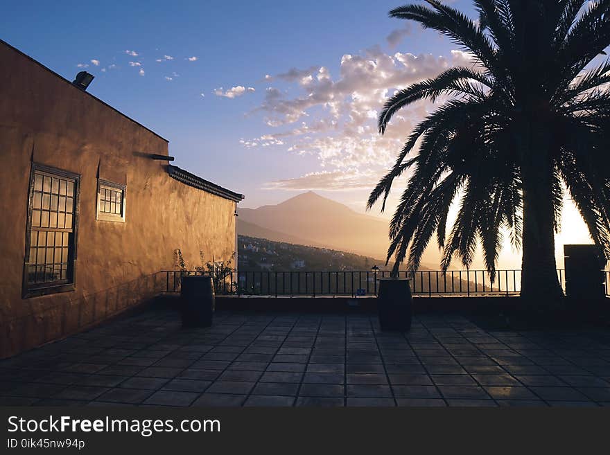 Landscape Photography of Brown Painted House Near Green Leaf Tree during Golden Hours