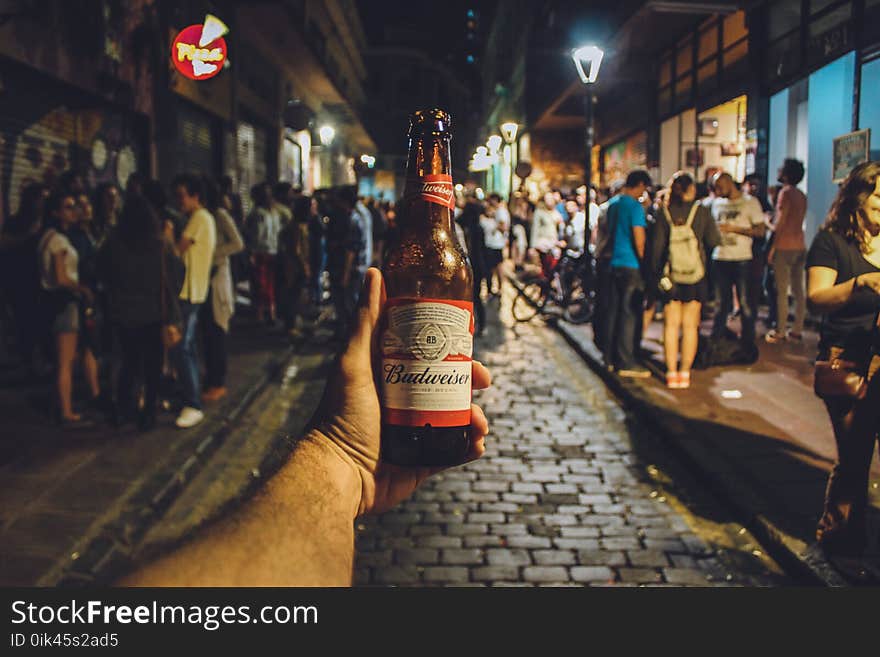 Person Holding Budweiser Bottle