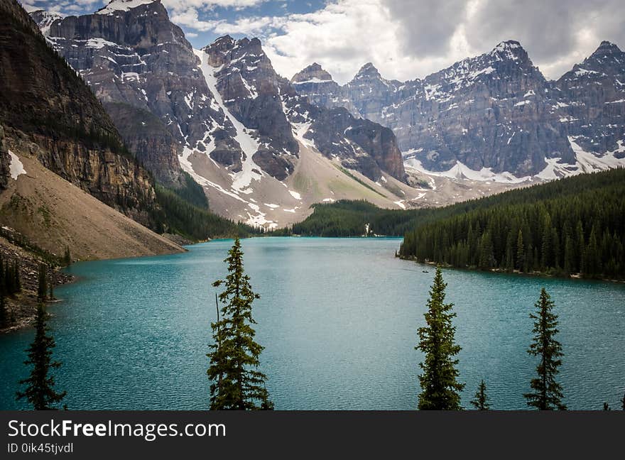 Body of Water Between Trees and Mountain at Daytime