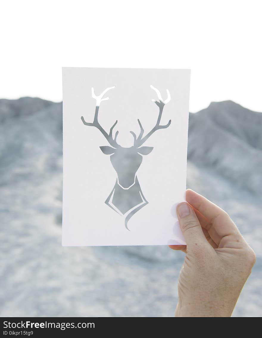 Person Holding Reindeer Artwork