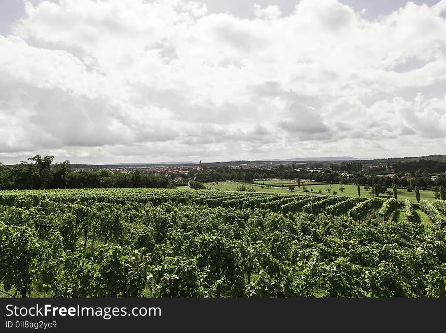 Agricultural, Agriculture, Autumn, Clouds