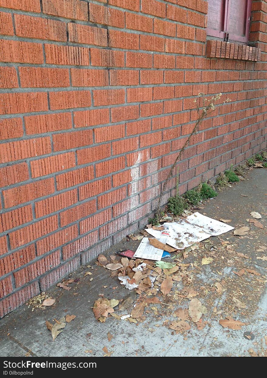 The side of a red-brick building with wild tree growing amongst scattered leaves and papers. Windows shades are drawn tight to the blight. The side of a red-brick building with wild tree growing amongst scattered leaves and papers. Windows shades are drawn tight to the blight.