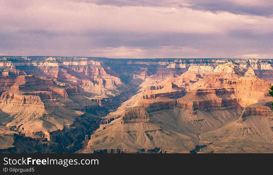 Canyon, Clouds, Dawn