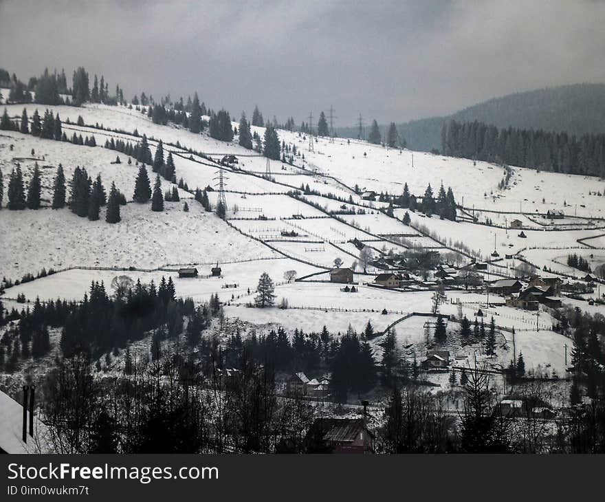 Mountain Trip In Vatra Dornei.