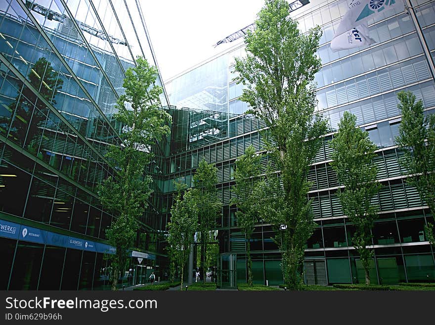 Architecture, Building, Glass