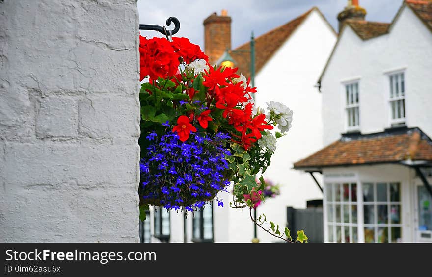 Architecture, Beautiful, Bloom