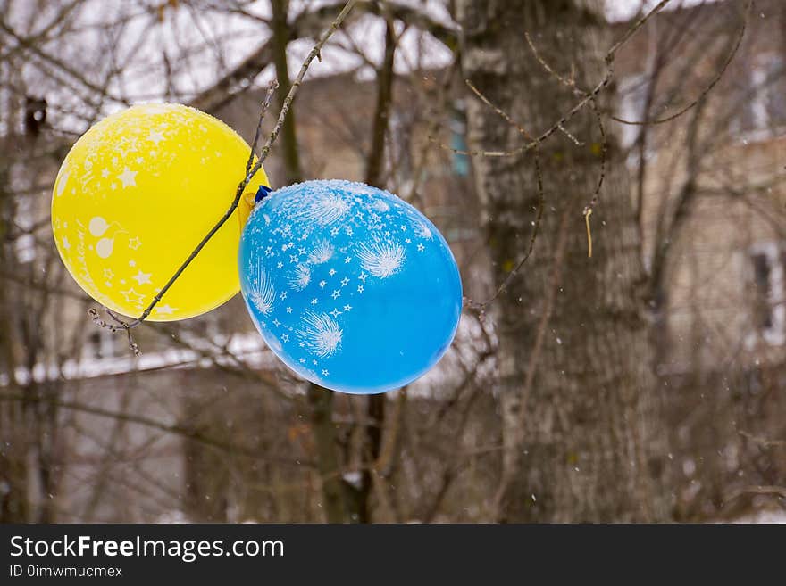 Two balloons blue and yellow color tied to a tree. Two balloons blue and yellow color tied to a tree.