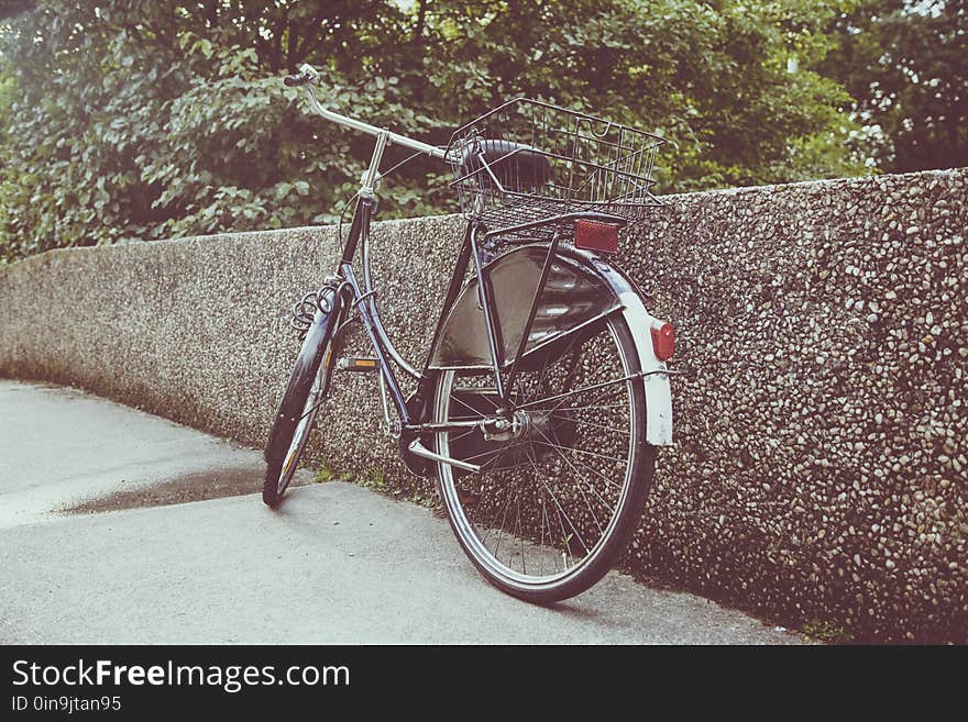 Bicycle, Bike, Cold, Color