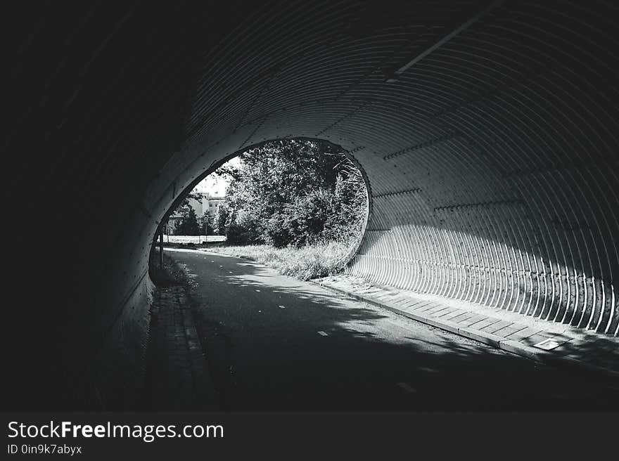 Black-and-white, Dark, Grass, Landscape