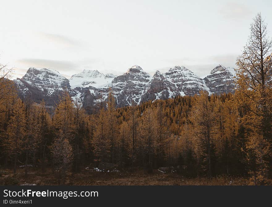 Autumn in the mountains