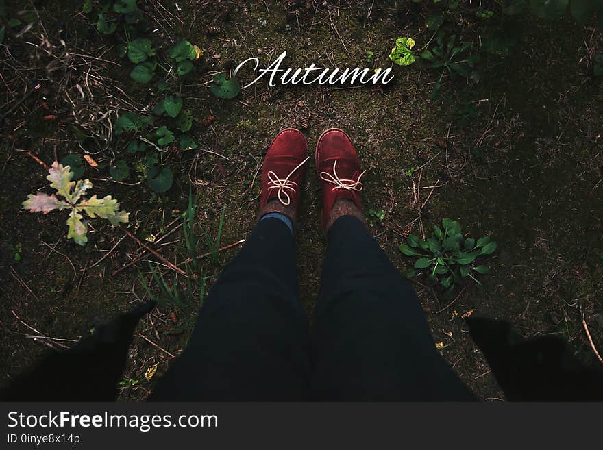 Women`s legs in red boots in autumn forest