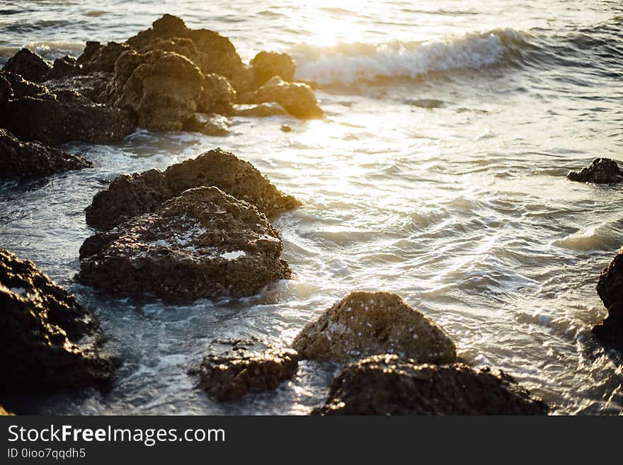 Beach, Nature, Ocean