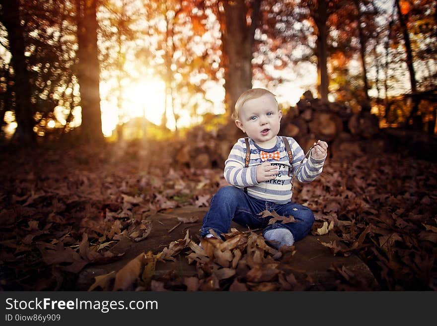 Toddler boy in the leaves at Thanksgiving