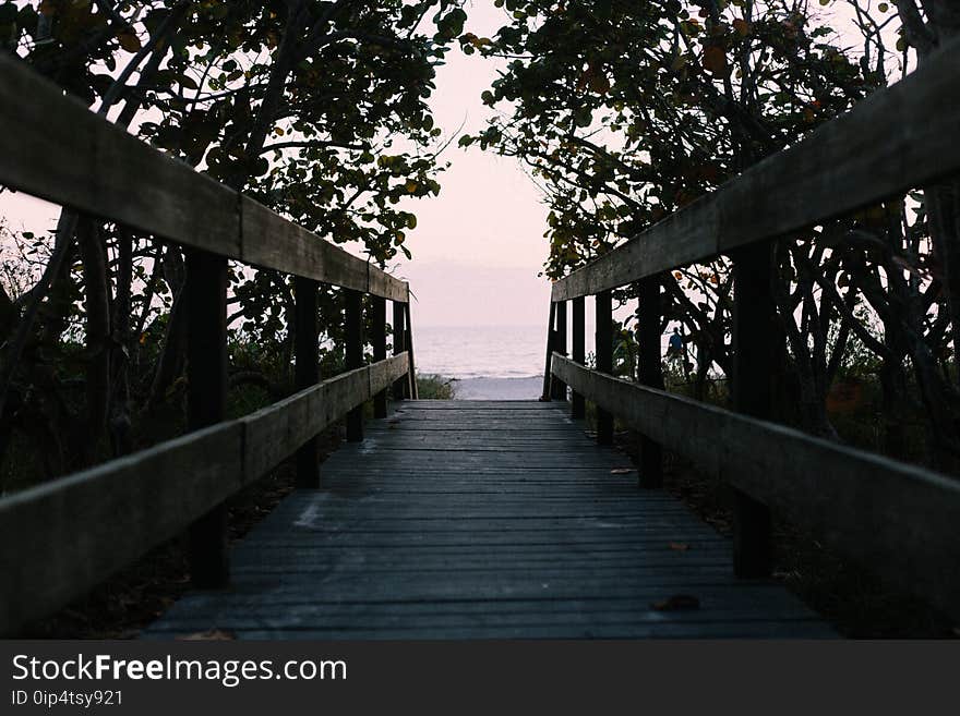 Beach, Boardwalk, Ocean