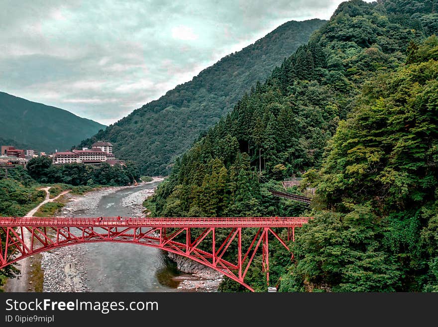 Bridge, Daylight, Landscape