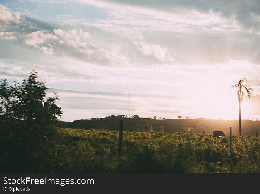 Backlit, Clouds, Dawn