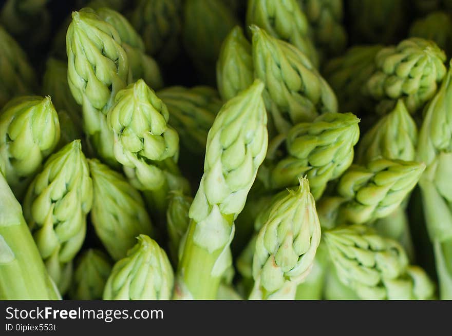 Asparagus, Close-up, Delicious