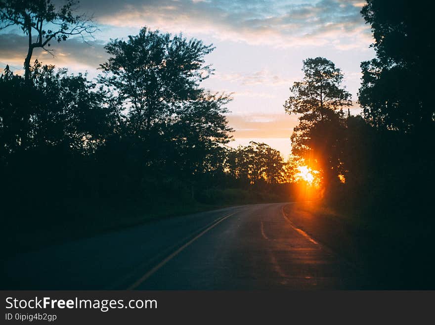 Backlit, Dawn, Dramatic