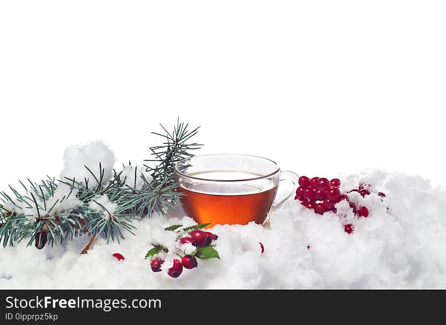 Transparent cup of tea, viburnum, wild rose and spruce branches in the snow. Transparent cup of tea, viburnum, wild rose and spruce branches in the snow