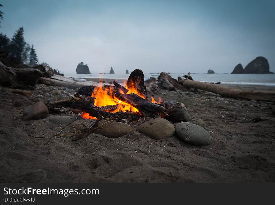 Ash, Beach, Bonfire