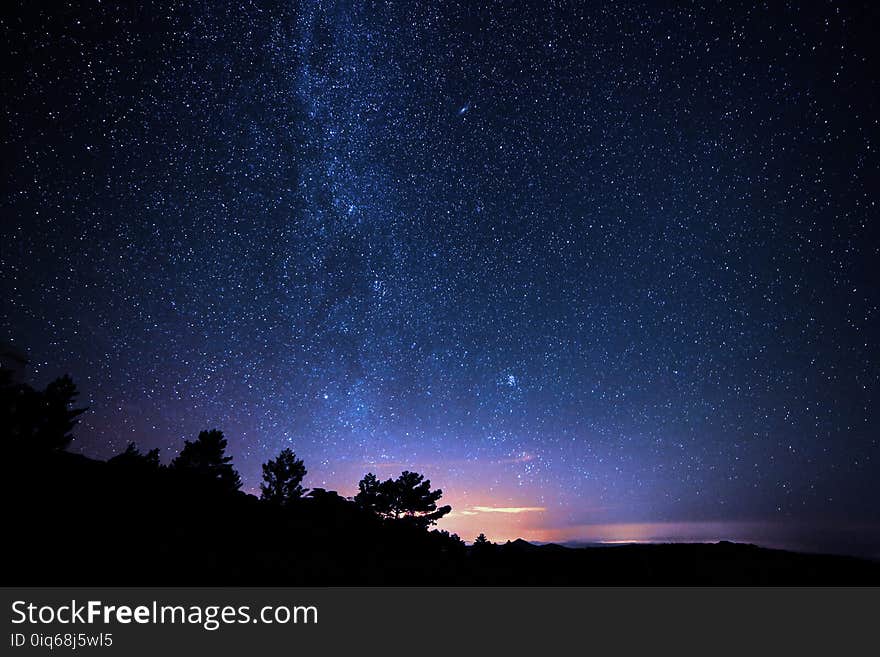 Silhouette Photo of Trees during Night Time