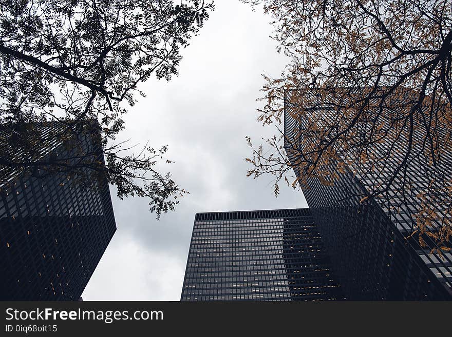 Worms Eye View of High Rise Buildings