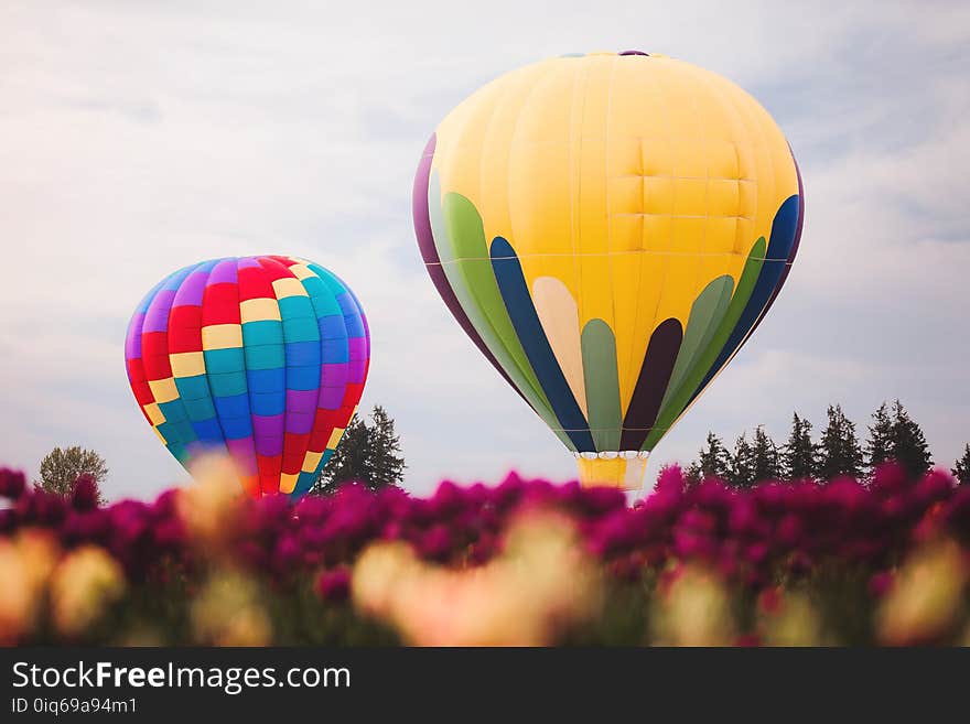 Two Assorted Color Hot Air Balloons