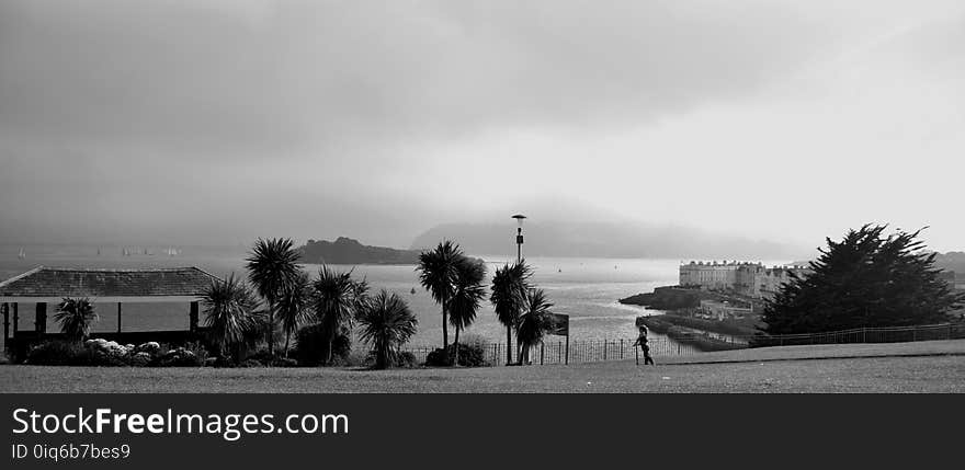 Grayscale Photography of Building Near Body of Water