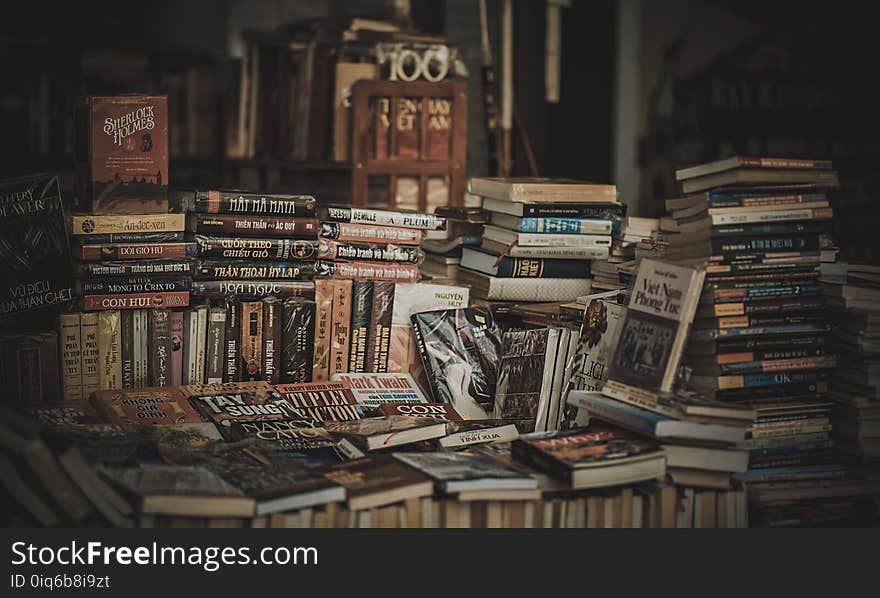 Pile of Assorted Novel Books