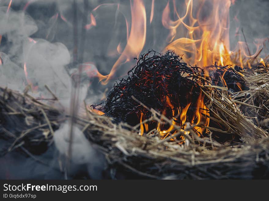 Dried Grass on Fire