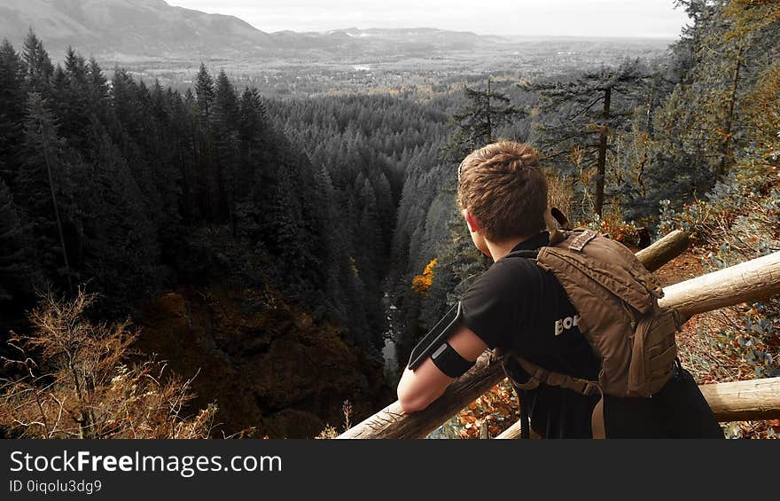 Man in Black Shirt and Brown Backpack Leaning on Brown Wooden Handrail Looking over Green Leaf Pine Trees and Creek